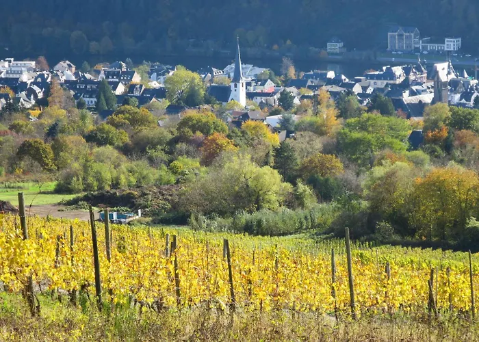 דירה Moselromance Mit Grosser Sonnenterrasse By Interhome